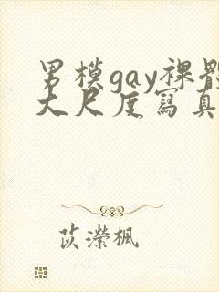 男模gay裸体大尺度写真