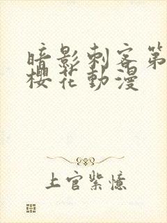 暗影刺客第三季樱花动漫封面