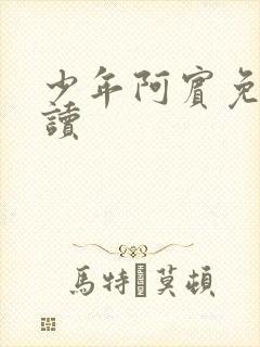 少年阿宾免费阅读