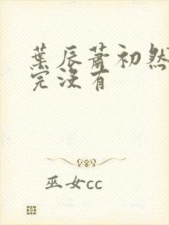 叶辰萧初然更新完没有