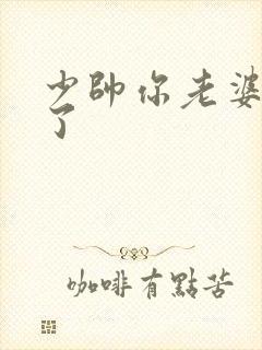 少帅你老婆又跑了