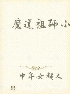 魔道祖师小说封面