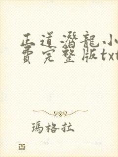 正道潜龙小说免费完整版txt下载