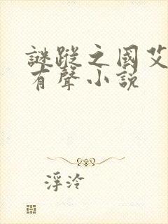 谜踪之国艾宝良有声小说封面