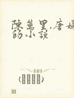 陈万里,唐嫣然的小说封面