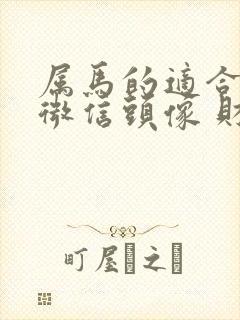 属马的适合什么微信头像 财运