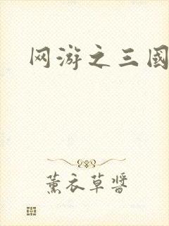 网游之三国王者