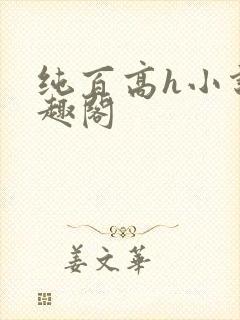 纯百高h小说笔趣阁