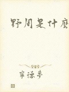 野周是什么意思封面