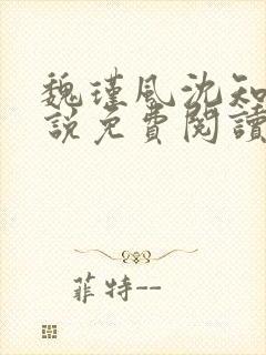 魏瑾风沈知玉小说免费阅读最新章节