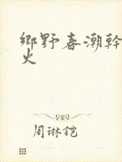 乡野春潮干柴烈火封面
