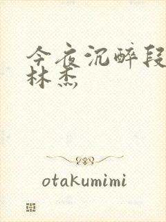 今夜沉醉段雪娇林杰封面