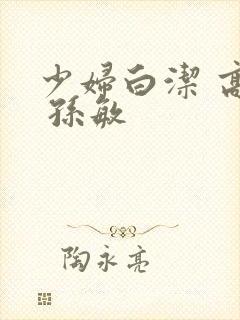 少妇白洁 高义 孙敏封面