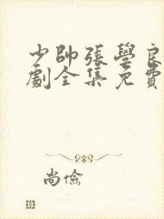 少帅张学良电视剧全集免费观看高清