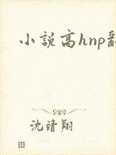 小说高hnp乱