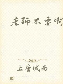 老师不要啊h封面