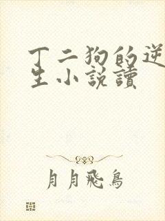 丁二狗的逆袭人生小说读