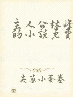 主人公林峰宁欣的小说免费阅读全文封面