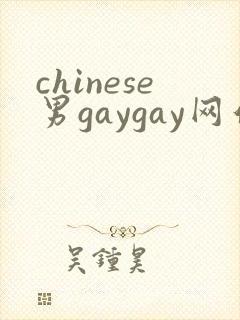 chinese男gaygay网站