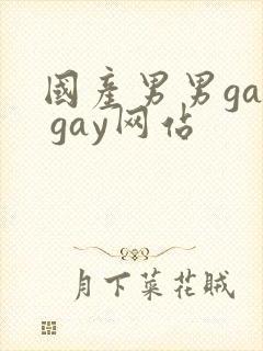 国产男男gay gay网站