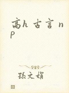 高h 古言 np