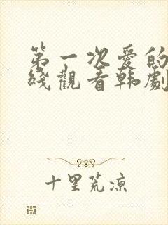 第一次爱的人在线观看韩剧免费高清