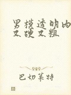 男模透明内裤里又硬又粗