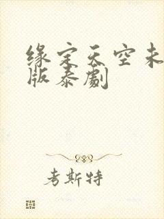 缘定天空未删减版泰剧封面