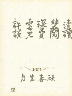 许云琛裴清欢小说免费阅读无弹窗封面