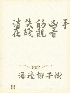 消失的凶手高清在线观看