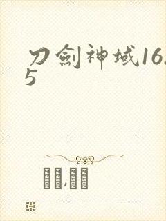 刀剑神域16.5