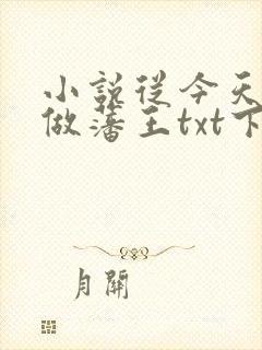 小说从今天开始做藩王txt下载封面