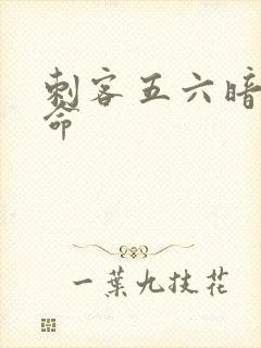 刺客五六暗影宿命