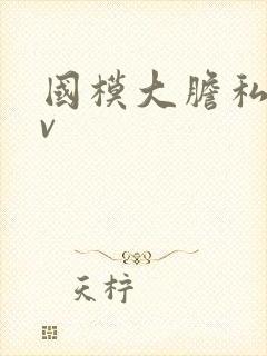 国模大胆私拍av