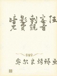 暗影刺客伍六七免费观看