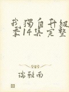 我独自升级第二季14集完整版