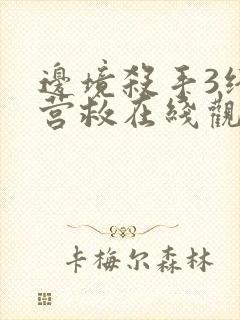 边境杀手3终极营救在线观看免费