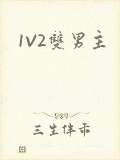 1V2双男主