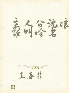 主人公沈浪的小说叫啥名