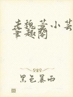 老魏董小芸全文笔趣阁