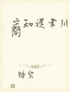 宋知迟聿川笔趣阁封面