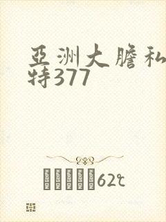 亚洲大胆私拍模特377