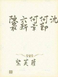 陈六何何沈轻舞最新章节