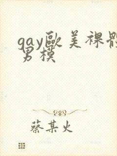 gay欧美裸体男模