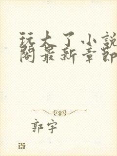 玩大了小说笔趣阁最新章节无弹窗