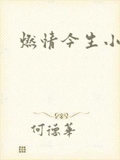 燃情今生小说