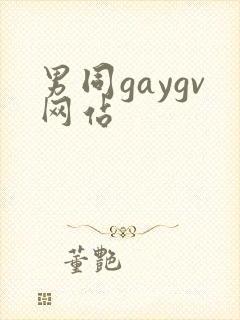 男同gaygv网站