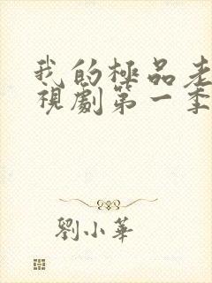 我的极品老婆电视剧第一季在线播放封面