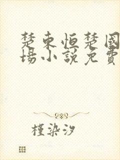 楚东恒楚国威官场小说免费阅读