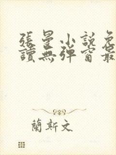 张曼小说免费阅读无弹窗最新章节